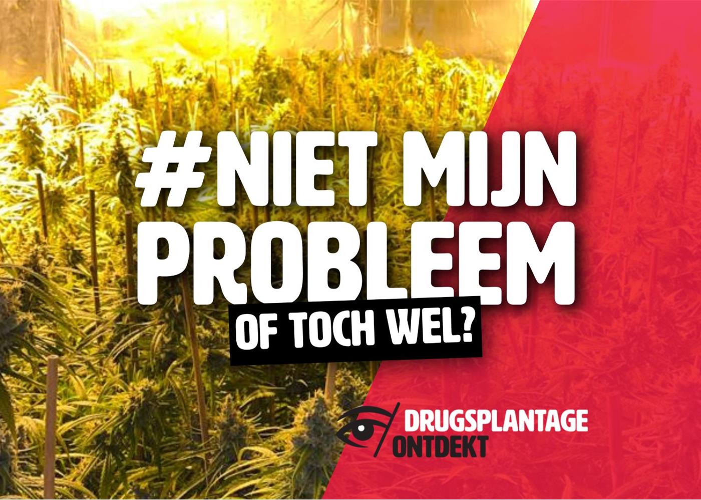 Merksem - Drie jaar gevangenisstraf en 12.000 euro geldboete voor verdachten van cannabisplantage